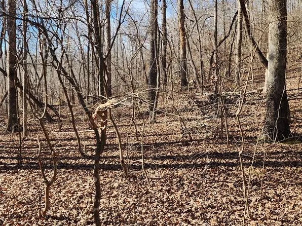Id 22 Shady Grove Rd, Holladay, TN 38341