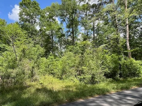 Jeane Chapel Rd Lot 1, Leesville, LA 71446