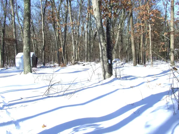 8921 N 9th Ave, Bitely, MI 49309