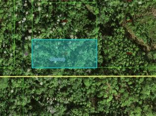 N Commonwealth Ave N #A-180, Polk City, FL 33868