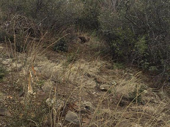 4th image of 2129 Miramonte Dr