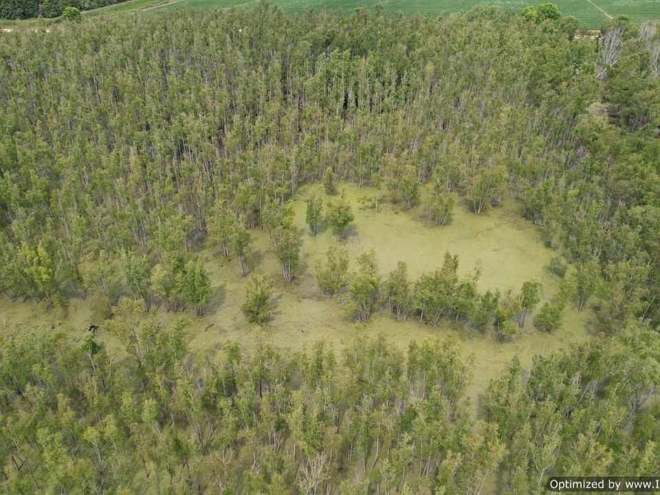 1st image of Newman Rd