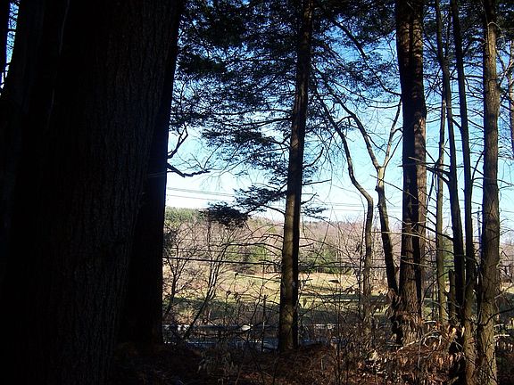 View2