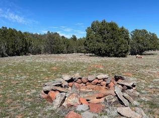 110B Rattlesnake Rd, Ash Fork, AZ 86320