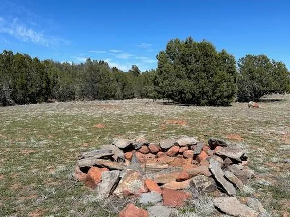110B Rattlesnake Rd, Ash Fork, AZ 86320