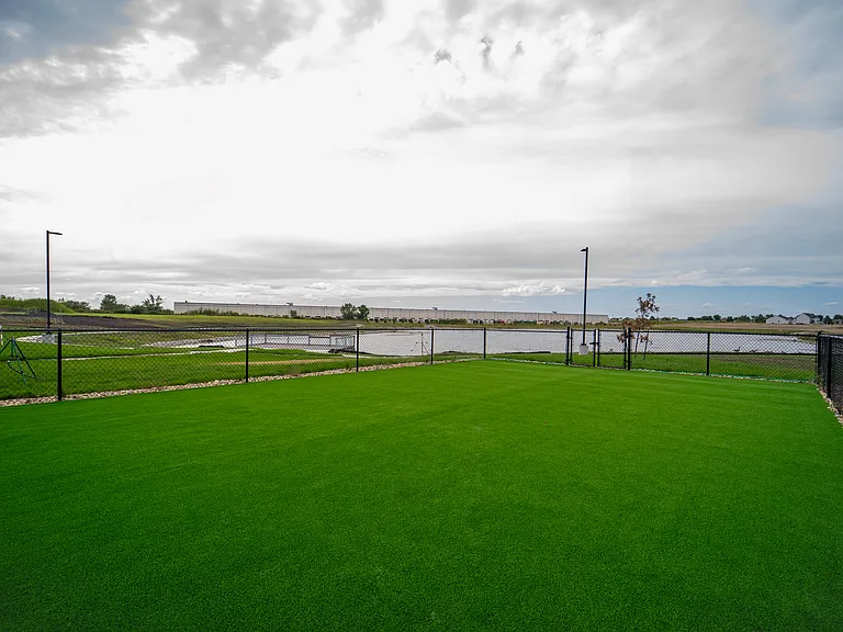 Dog Park