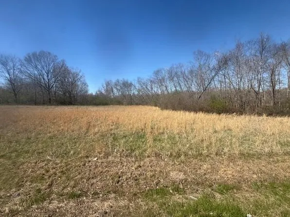 3 Highway 22a, Jacks Creek, TN 38347