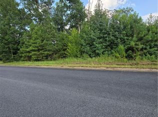 11700 Elam Dr, Northport, AL 35475