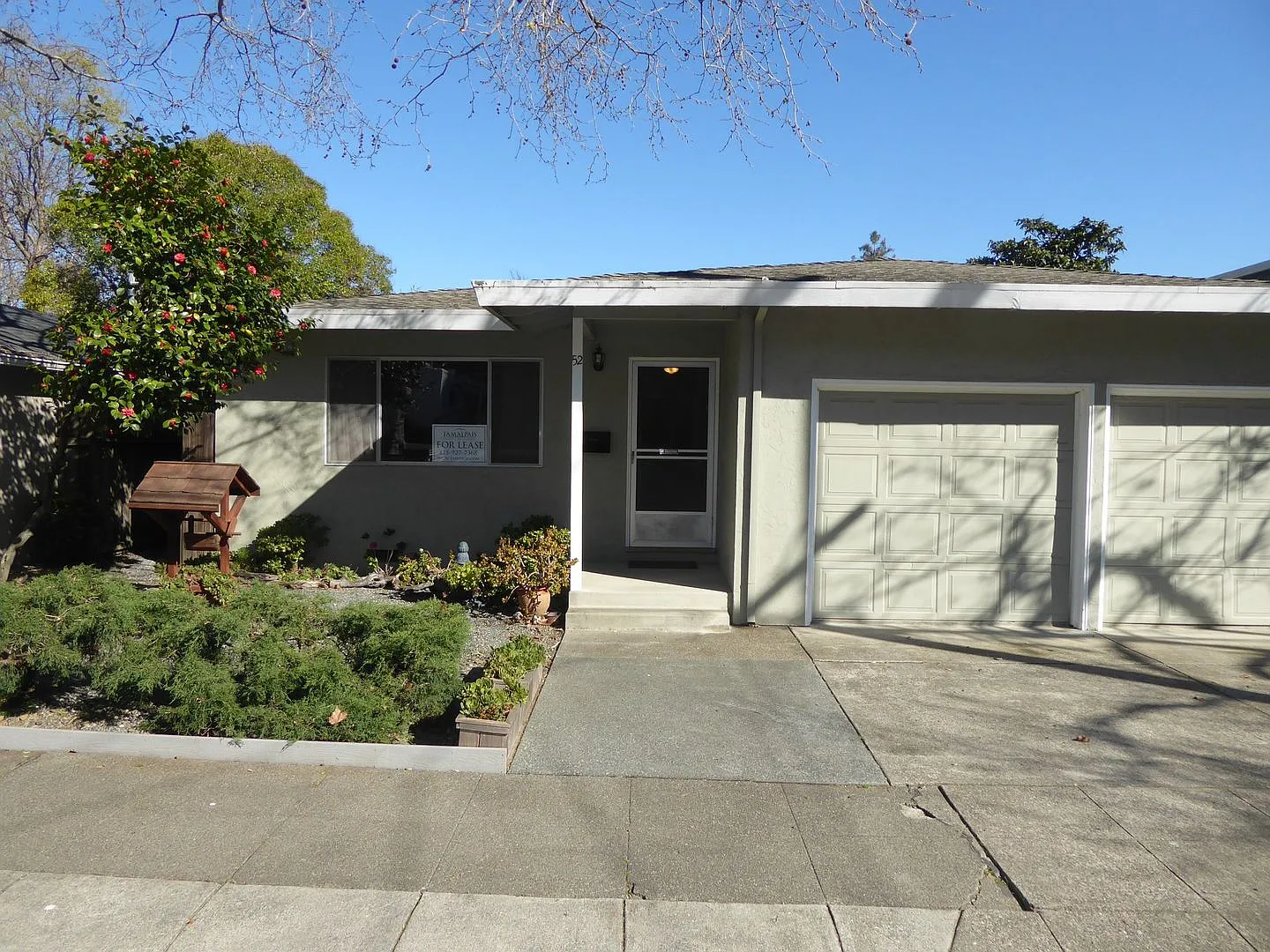 Octavia Street — Photo 1