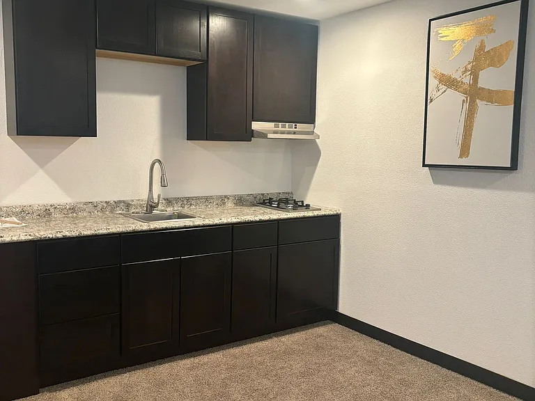 1313 S Milton Rd #17 — Photo 3