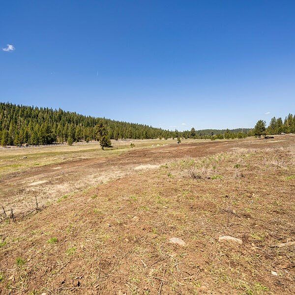 2nd image of 29 To Be Determined