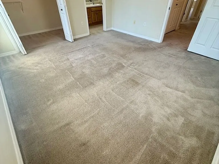 223 Johnson Ct — Photo 11