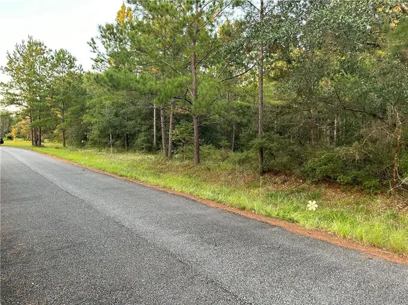 122 Sapelo Cir SE Lot 12, Darien, GA 31305