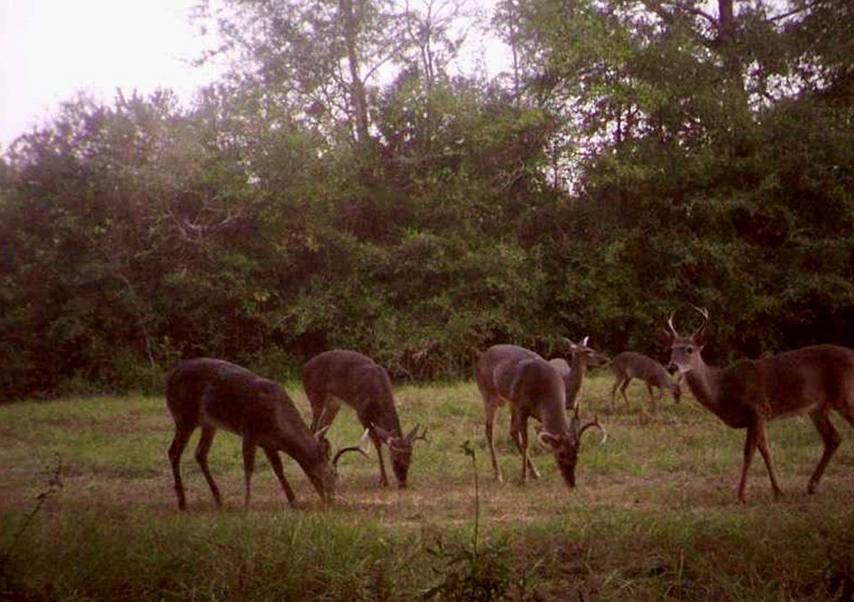 2nd image of 0 McLeod Rd