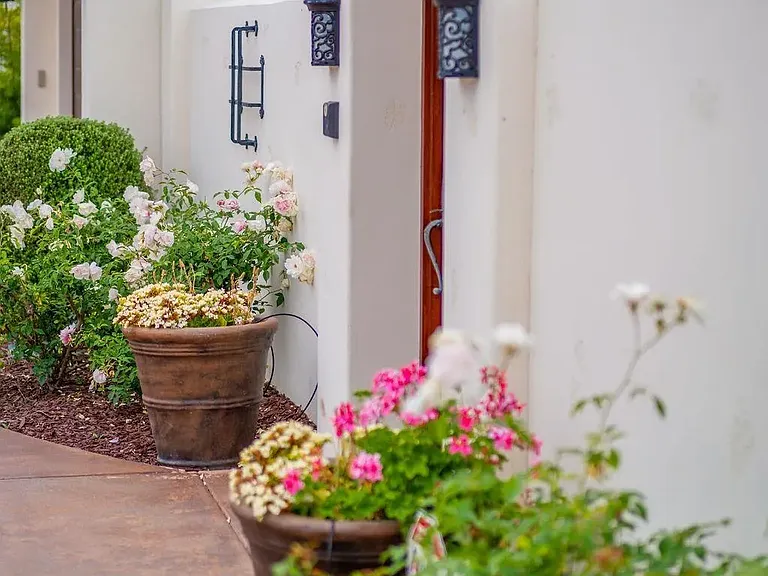 604 Camino De Orchidia — Photo 27