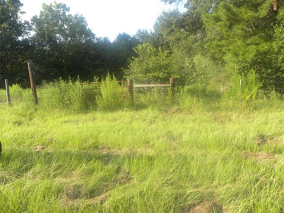 A view of the fenced and wooded area inside the 13.8 acres. There's also a creek not pictured in these photos.