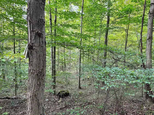 3 Route 250, Grafton, WV 26354