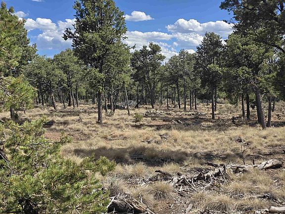 4th image of Lot 32 Deer Mesa Road