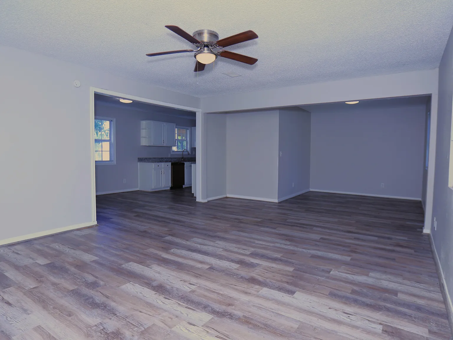 1117 County Road 515 / One Time - 1 — Photo 2