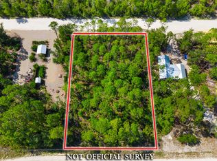 0 NE Sugar Hill Ln, Steinhatchee, FL 32359