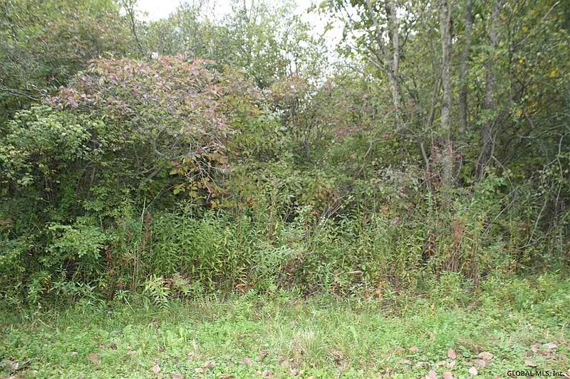 5th image of SNAKE HILL Road