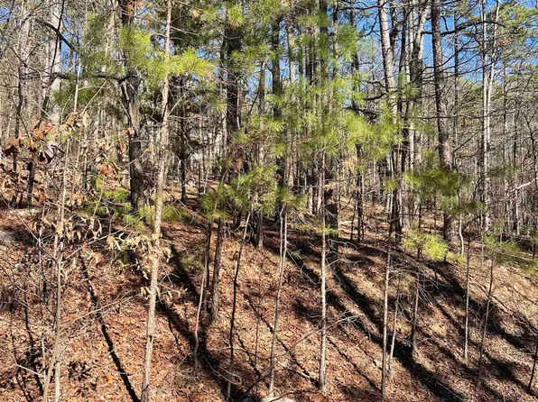 (undisclosed Address), Hot Springs Village, AR 71909