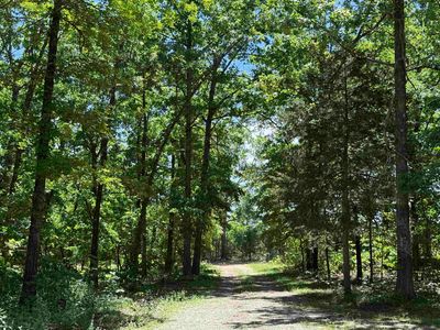 675 Browns Creek Rd, Ravenden, AR, 72459
