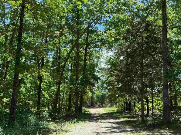 675 Browns Creek Rd, Ravenden, AR 72459