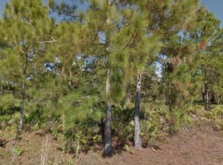 1121 Cummings St E, Lehigh Acres, FL 33974