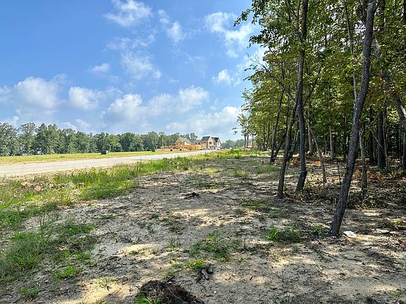 4th image of 3029 River Gorge Dr #972