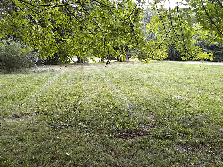 Burnt Acres Ct — Photo 15