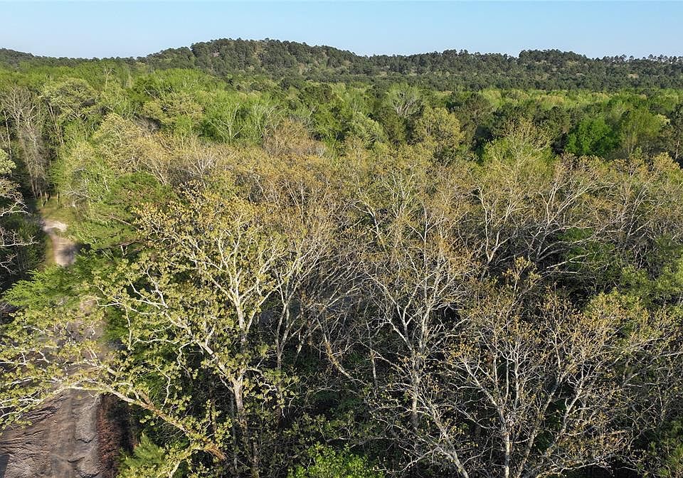 2nd image of 49 Driftcast Rd Lot 49