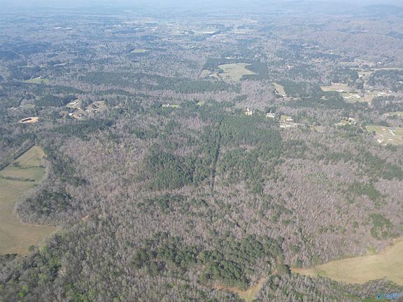 2nd image of 80/ACRE S Pine Ridge Rd