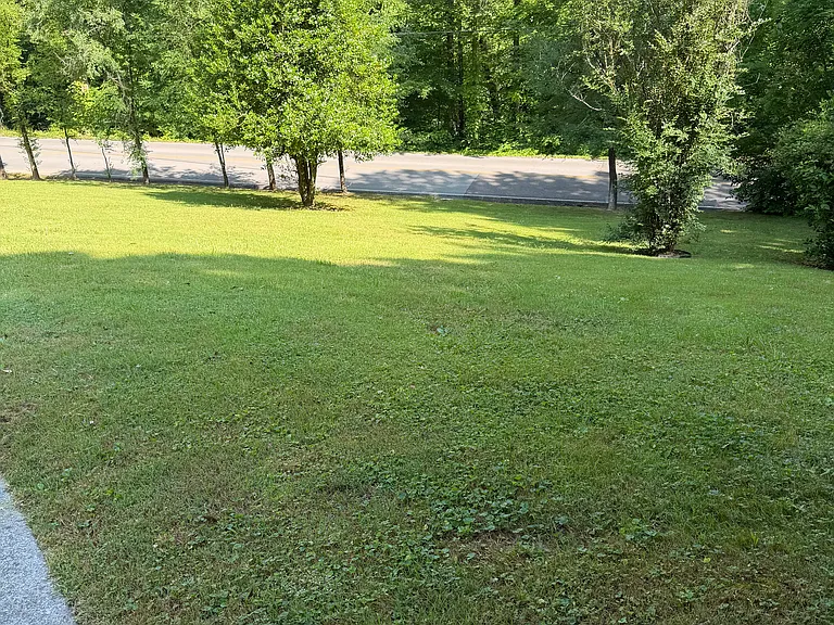 1054 Poplar Creek Rd — Photo 3