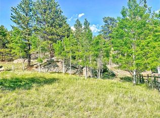100 Walleye Dr, Lake George, CO 80827