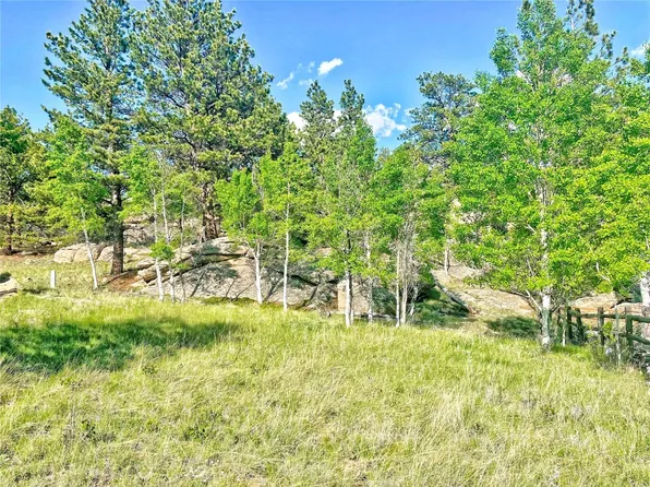100 Walleye Drive, Lake George, CO 80827