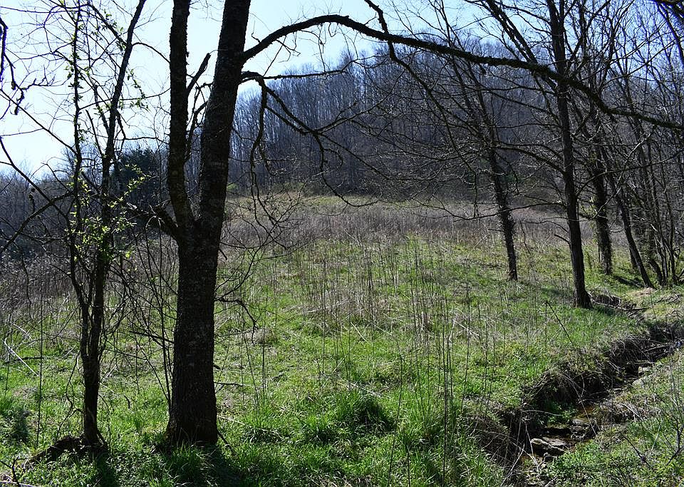 1st image of Tick Ridge Rd