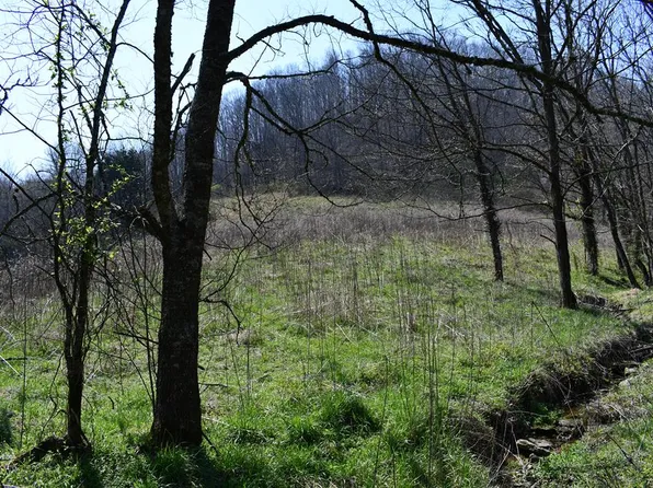 Tick Ridge Rd, Celina, TN 38551