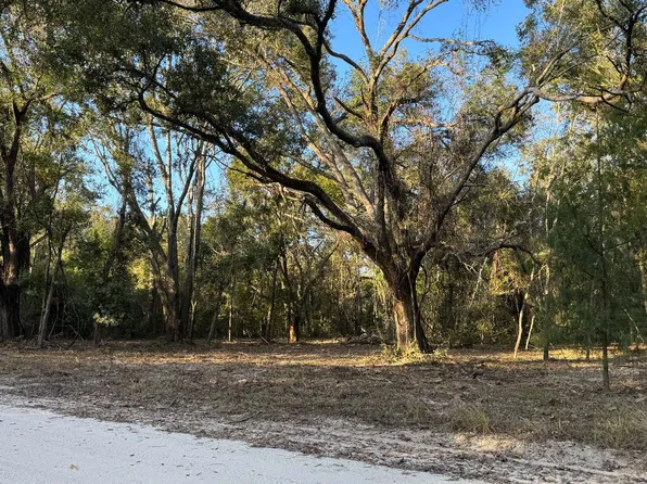 Tbd 129th Rd, Mc Alpin, FL 32062