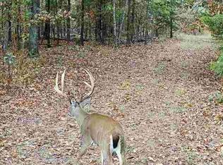 Styles Rd, Noel, MO 64854