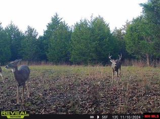 160736000000005 Highway W, Huggins, MO 65484