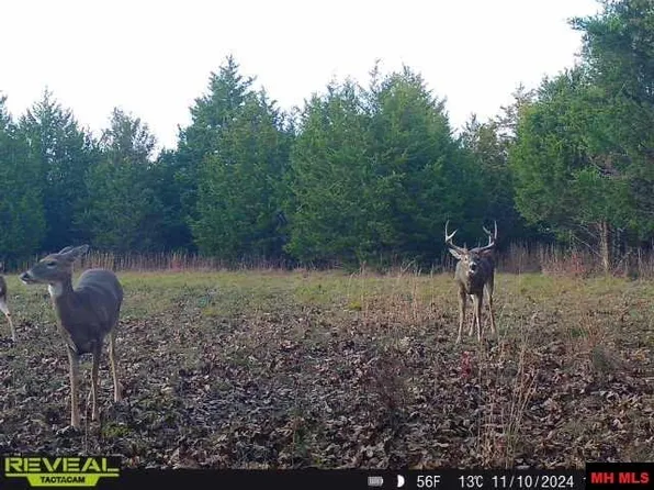 160736000000005 Highway W, Huggins, MO 65484