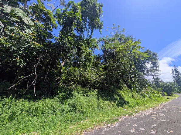 15-179 Puni Lani Loop S Lot 1719, Pahoa, HI 96778