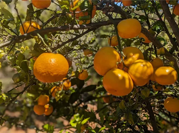 27 Via Escalon, Temecula, CA 92590