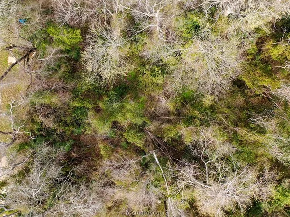 309 N Short St, Madisonville, TX 77864