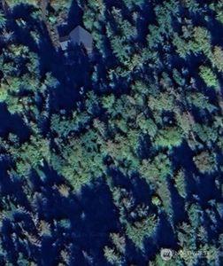 0 xx Hummingbird, Sequim, WA, 98382