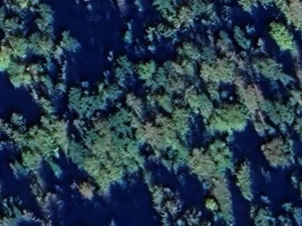 0 xx Hummingbird, Sequim, WA 98382