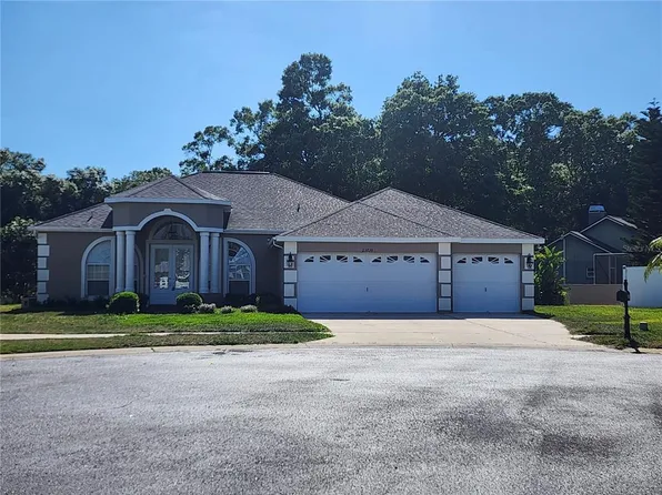 23738 Peace Pipe Ct, Lutz, FL 33559