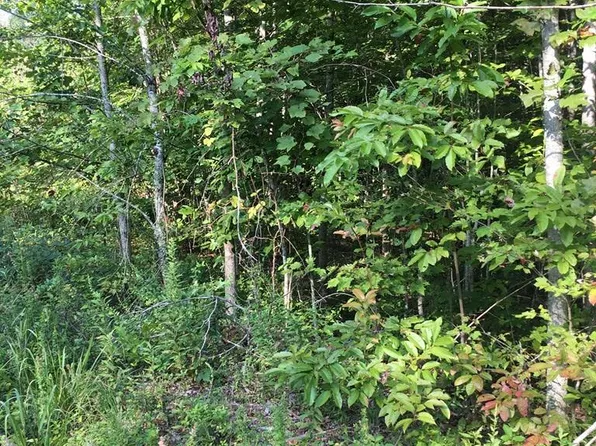 LOT 239 Hood Ln, Wilder, TN 38589