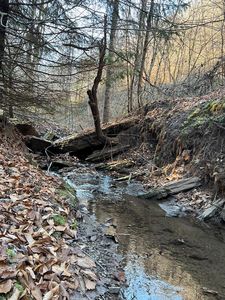 462 Mountain Rd, Saltville, VA, 24370